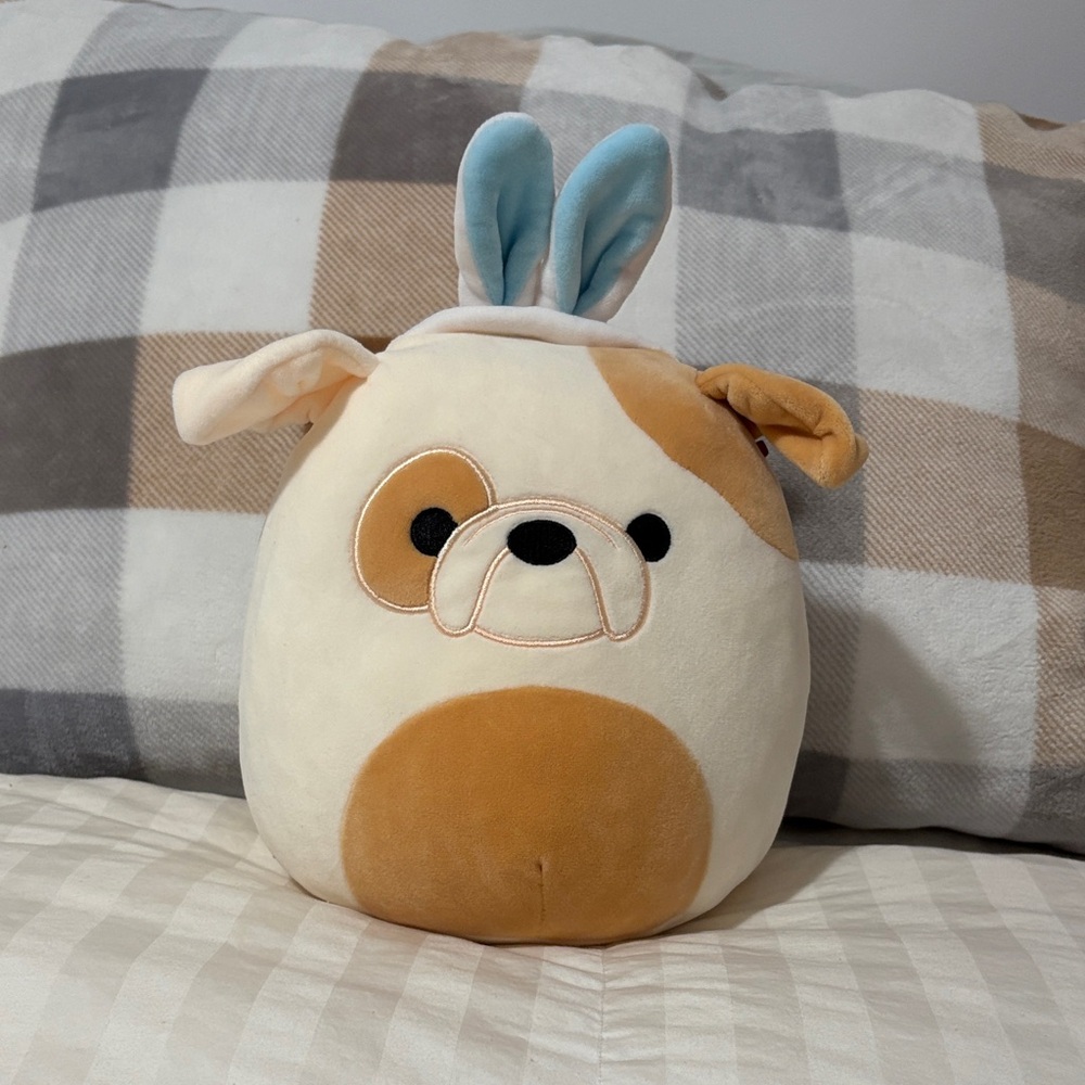 3/$20 8” Squishmallows Brock the bulldog with Bunny ears